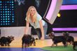 Ihre neue TV-Romanze "Tierisch verliebt" bringt tierliebe Singles zusammen