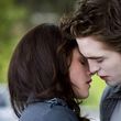 Dieser handelt von der Vampirin Bree Tanner aus Eclipse
