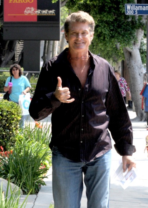 David Hasselhoff - Der Schauspieler meldete sich zuletzt nur mit Skandalen in der Öffentlichkeit zurück