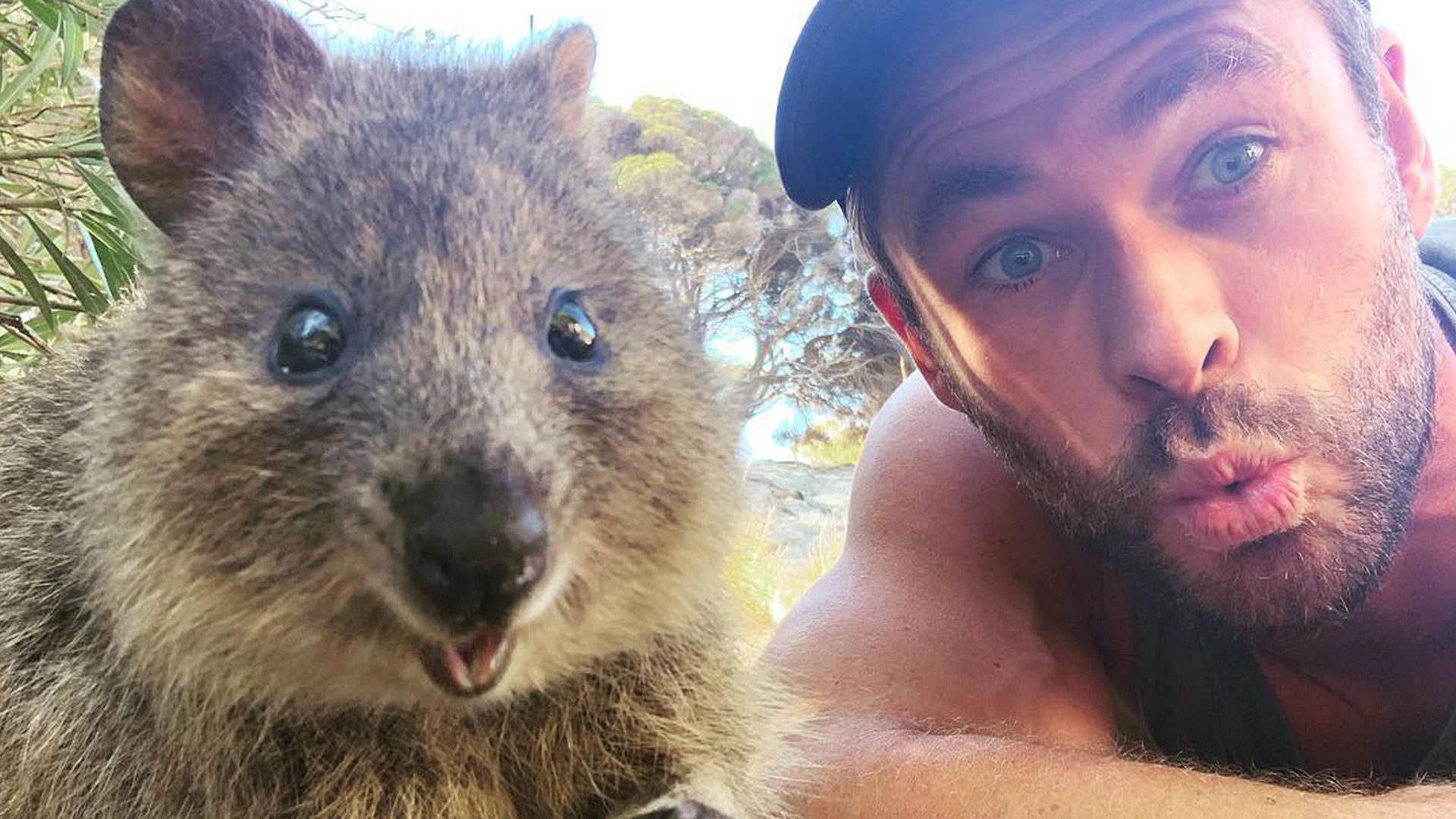 Süßestes Selfie ever? Shawn Mendes post mit Flausch-Quokka ...