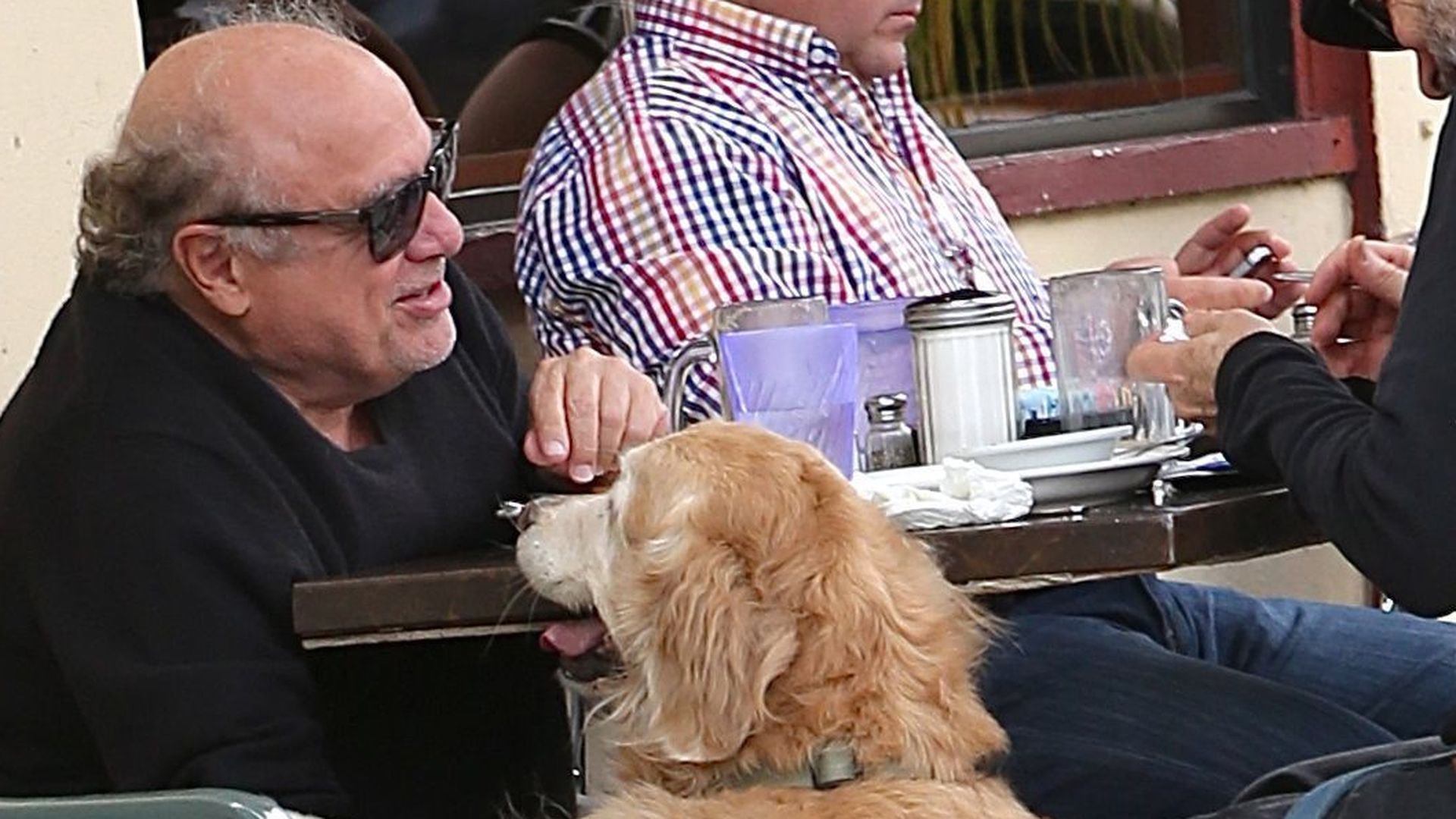 Huch! Danny DeVito ist fast so groß wie sein Hund