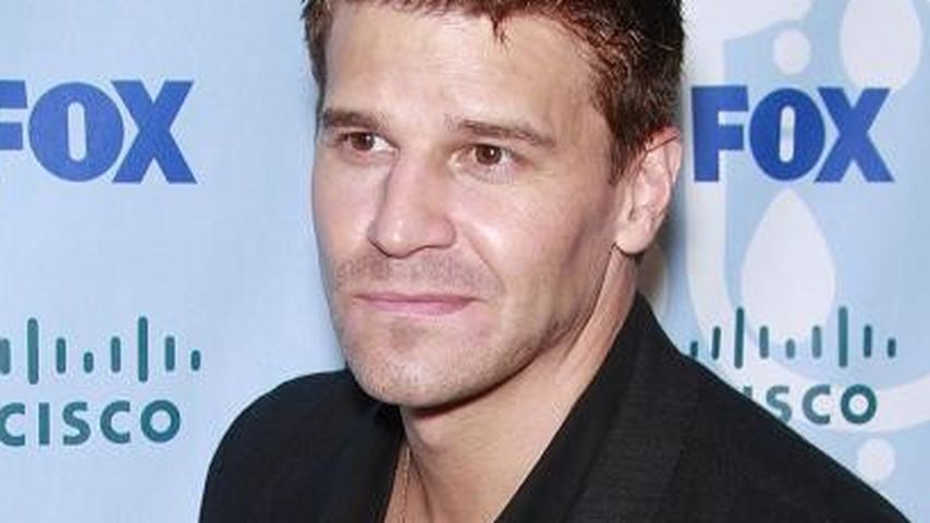 David Boreanaz