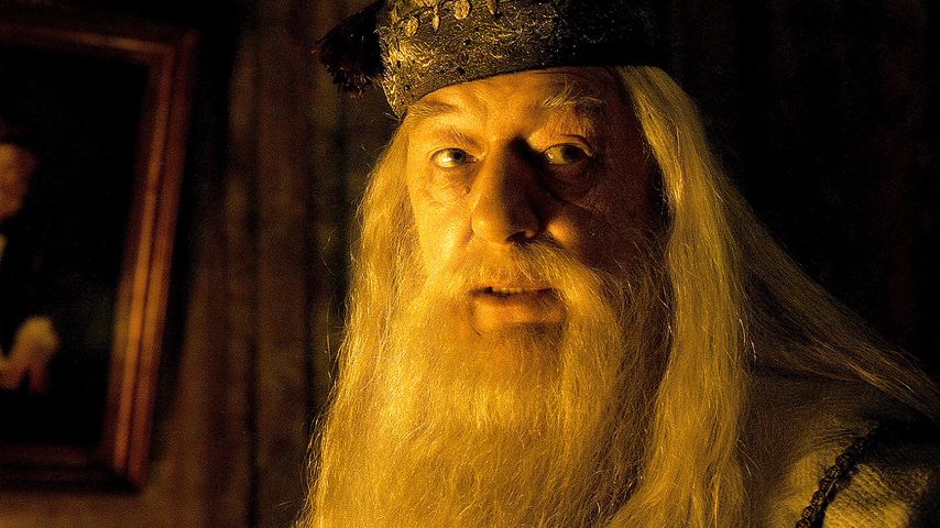 Michael Gambon als "Albus Dumbledore"