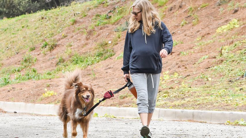 Amanda Seyfried mit ihrem Hund Finn in Los Angeles