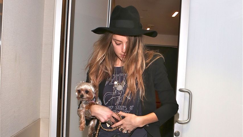 Amber Heard