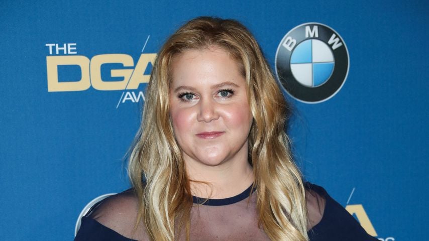 Amy Schumer bei den Directors Guild Of America Awards in Los Angeles