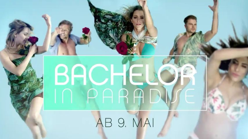 Im Trailer: So heiß sind "Bachelor in Paradise"-Kandidaten