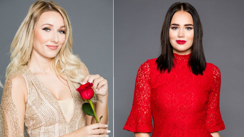 Nur aus Kalkül dabei? Bachelor-Girls wirken zu professionell