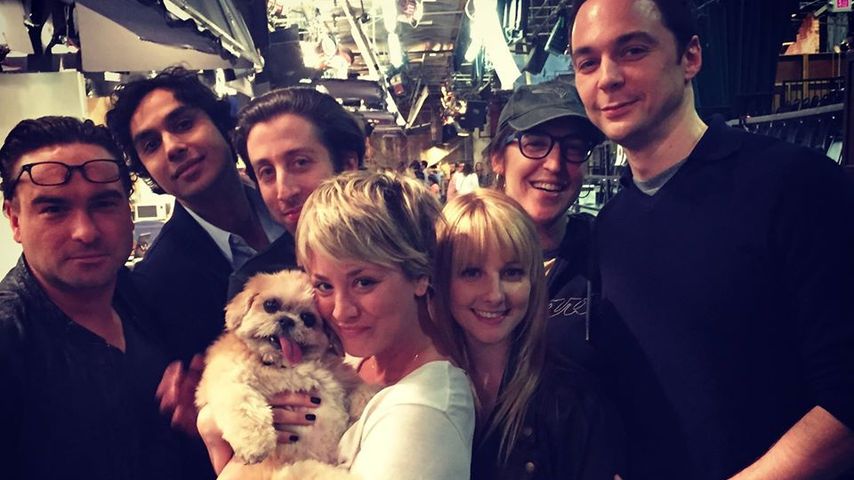 Big Bang Theory-Stars und Marnie The Dog
