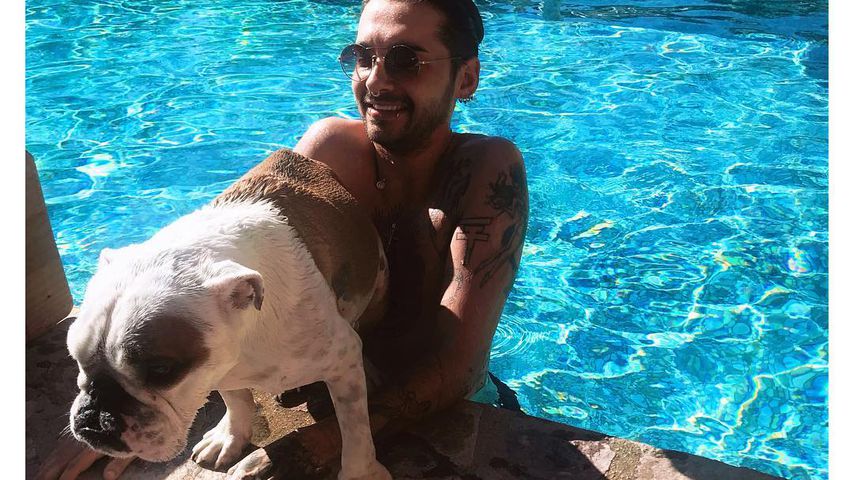 Bill Kaulitz Hund Bill Kaulitz Hund