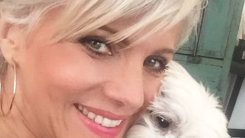 Birgit Schrowange, Moderatorin