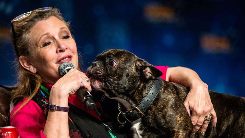 Carrie Fisher und ihr Hund Gary