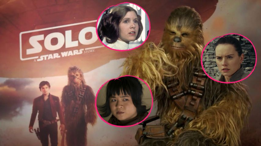 Wookiee-Ranking: Diese "Star Wars"-Ladys feiert Chewbacca!