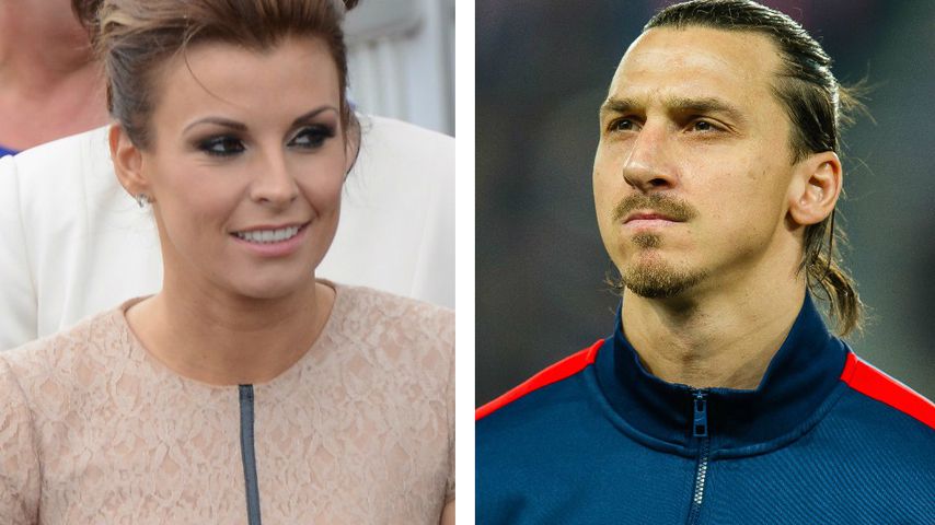 Zlatan Ibrahimovic Frau Zlatan Ibrahimovic Frau