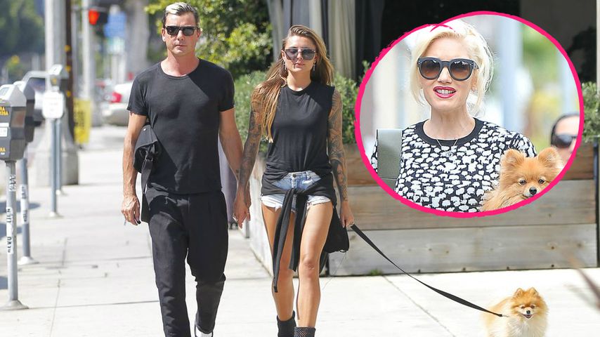 Beef mit Sophia & Gavin? Gwen megasauer wegen IHRES Hundes!