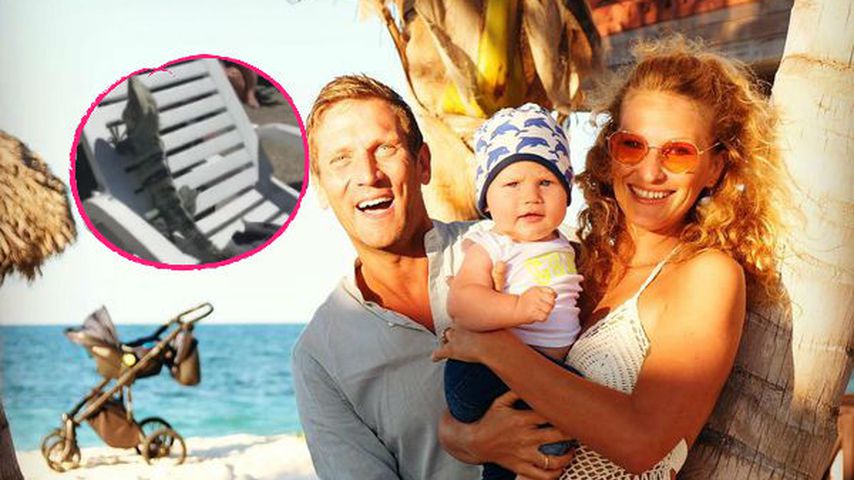 Emil-Ocean, Peer und Janni: Tierische Überraschung am Pool