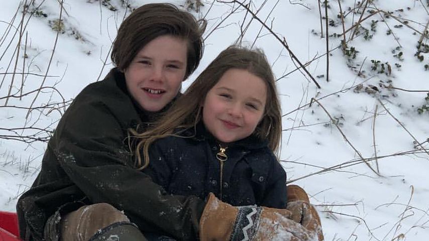 Beckham-Schneehasen: Cruz & Harper mit Dad David beim Rodeln