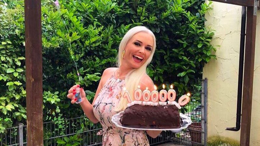 Eine Million Follower! Katze knackt eigenen Insta-Rekord
