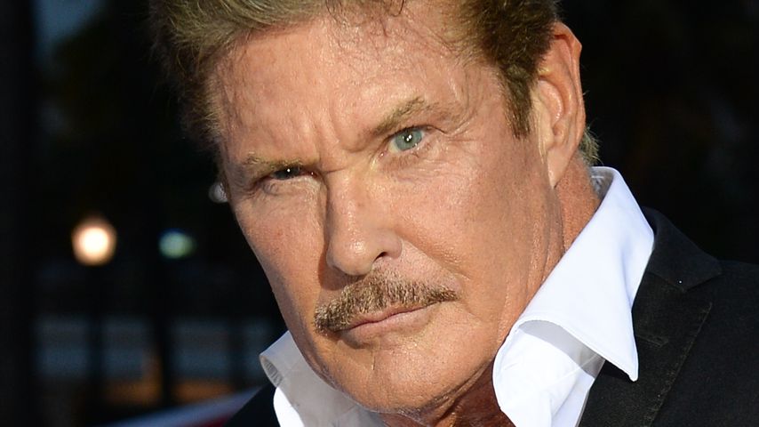 David Hasselhoff, Schauspieler