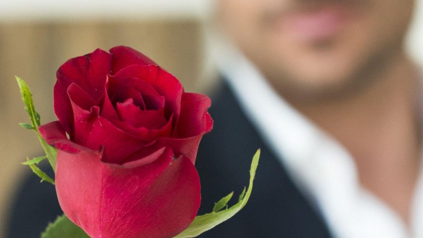 Der Bachelor 2014