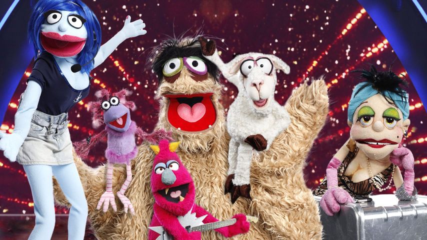 Die Puppen von "Die Puppenstars"