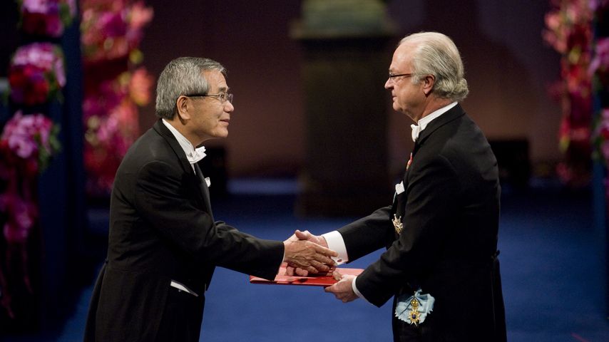 Ei-ichi Negishi und König Carl Gustaf von Schweden 2010 in Stockholm
