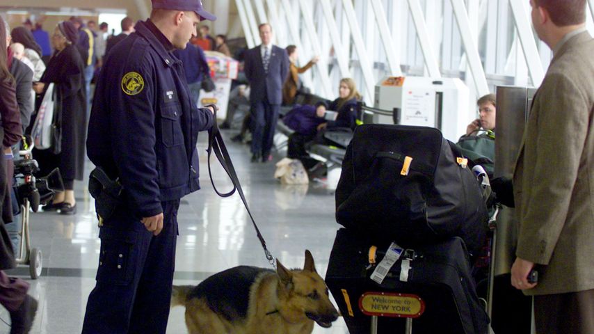 Symbolbild: Sicherheitswarnung am Flughafen JFK in New York