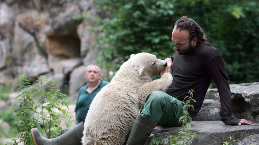 Eisbär Knut und Thomas Dörflein
