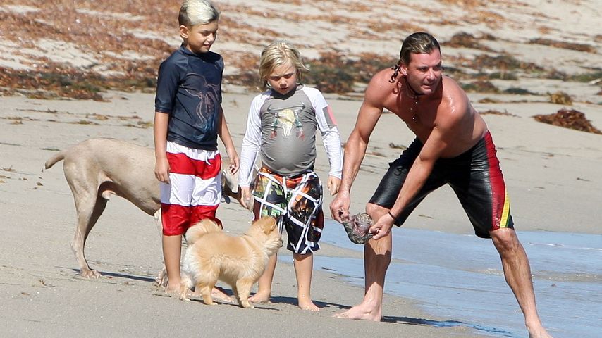 Gavin Rossdale