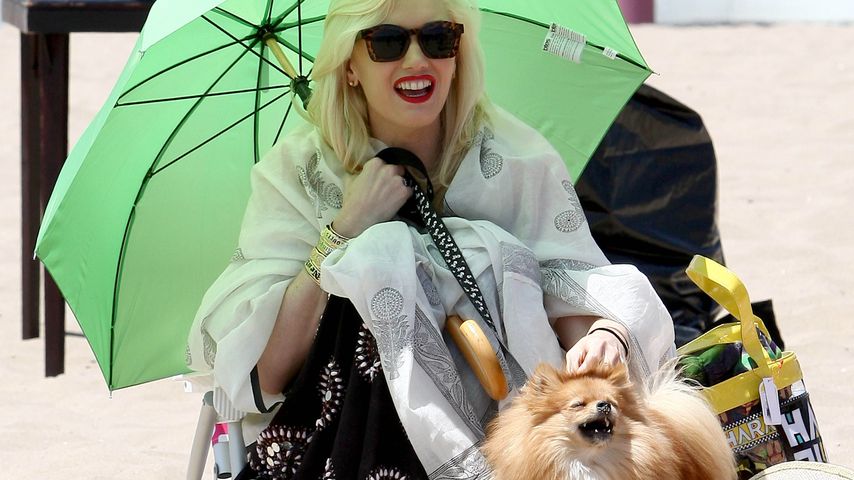 Gwen Stefani mit Hund Chewy am Strand