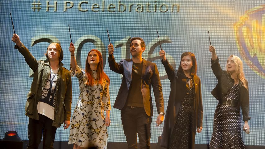 Rupert Grint, Bonnie Wright, Matthew Lewis und Evanna Lynch