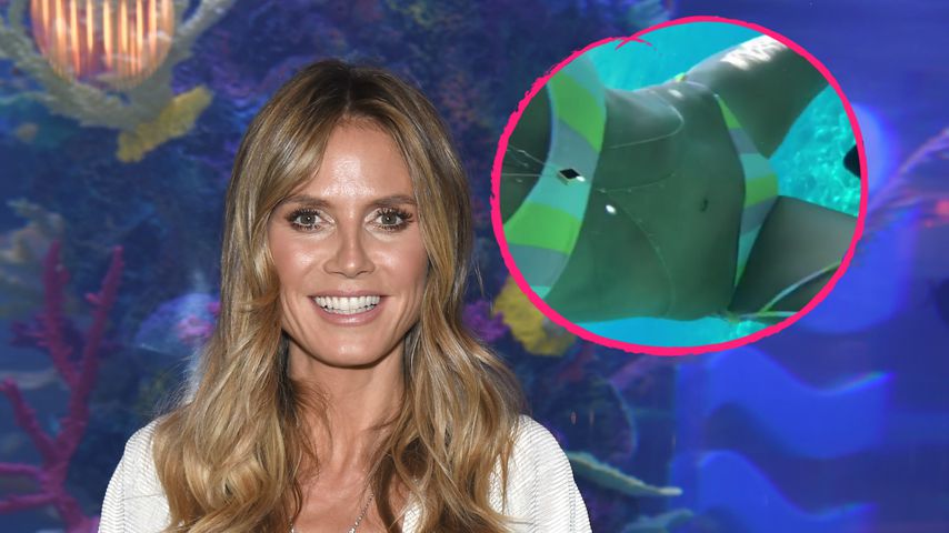 Heißester Urlaub ever? Heidi Klum als knackige Taucherin