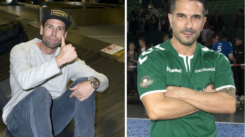 Honeys Völkerball-Absage: Marc Terenzi ist nicht überrascht