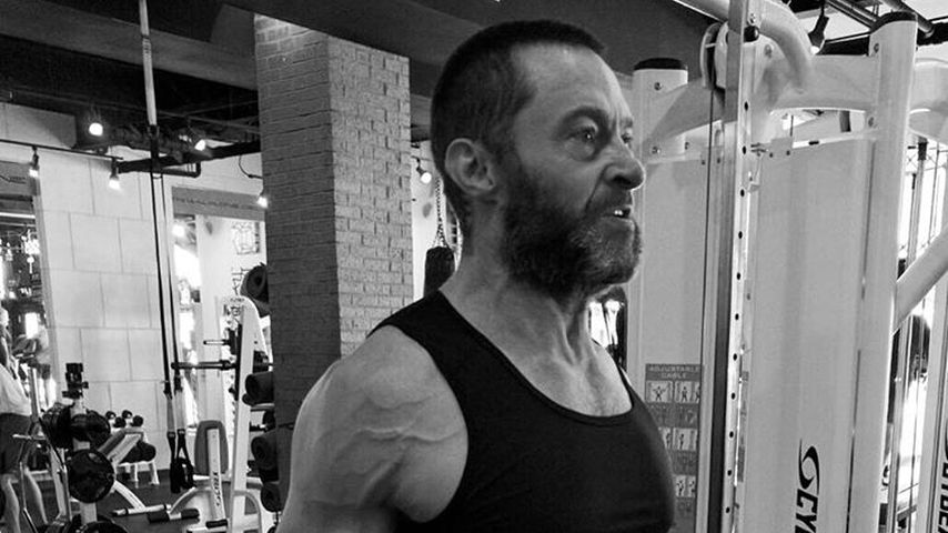 Hugh Jackman beim Training im Fitness-Studio