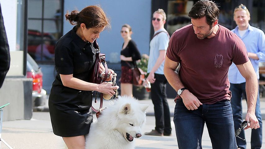 Hugh Jackman