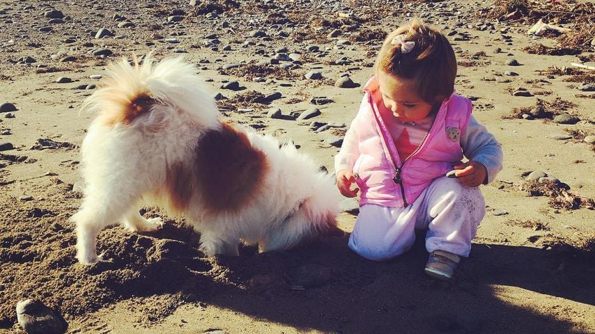 Alaia-Claire (Tochter von Rebecca Kratz) mit Hund am Strand von Marbella