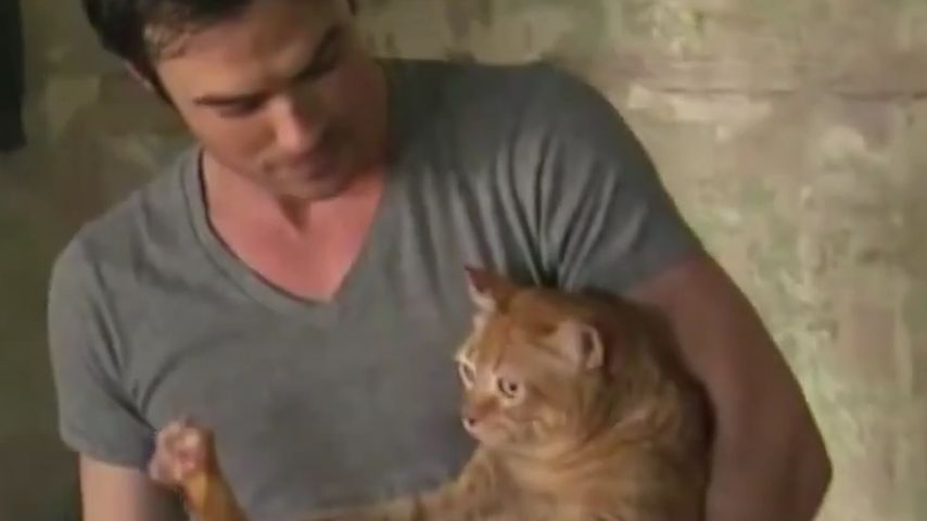 Ian Somerhalder