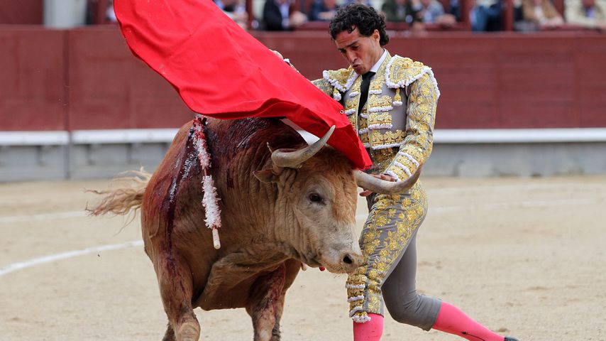 Ivan Fandiño beim Stierkampf in Madrid