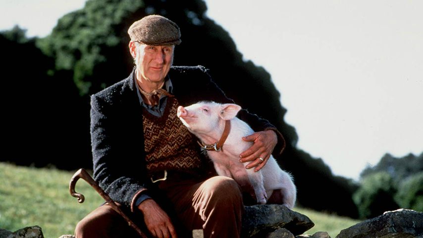James Cromwell am Set von "Ein Schweinchen namens Babe"