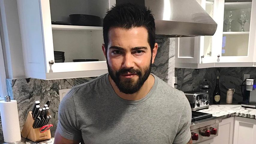 Jesse Metcalfe, Schaupieler