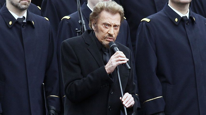 Johnny Hallyday, Musiker