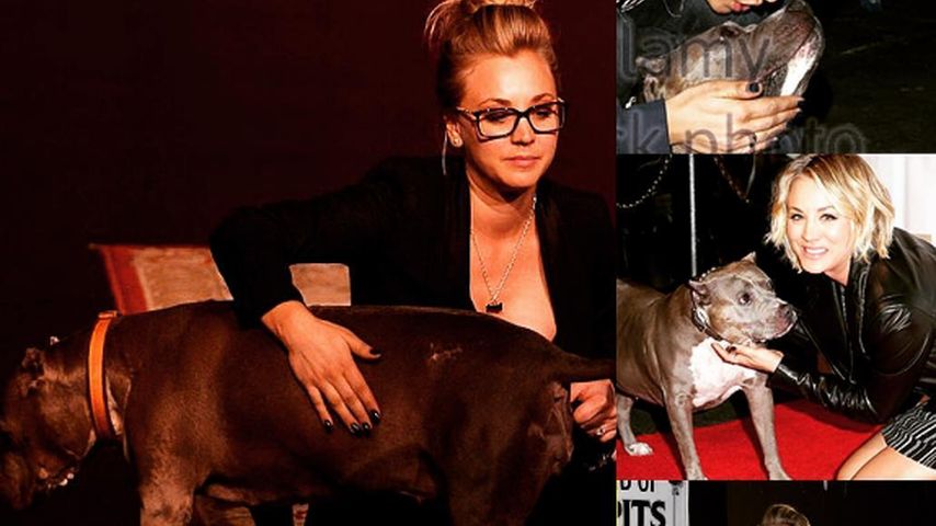 Kaley Cuoco