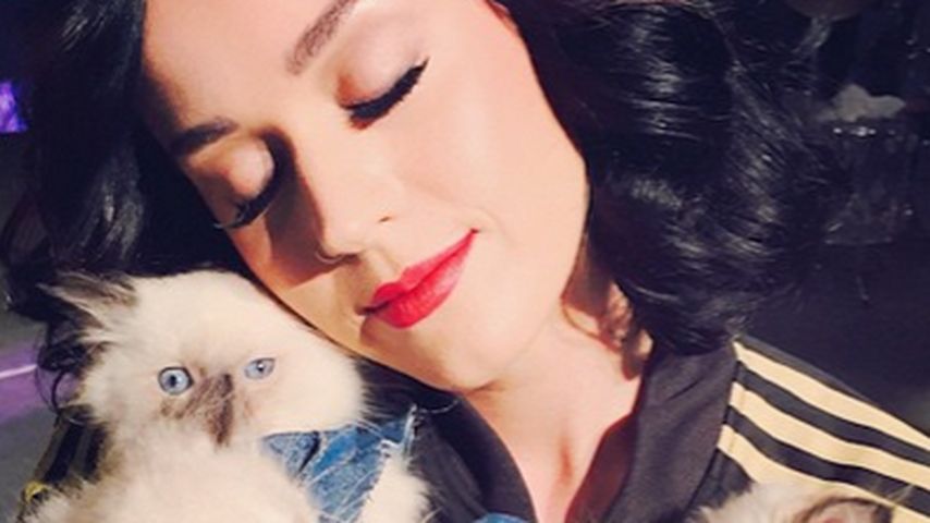Katy Perry