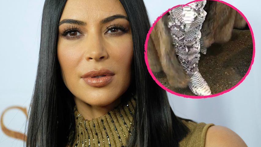 Schlangen-Stiefel & pinke Mähne: Kim K wird zur Exotic-Lady!