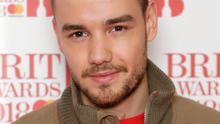 "Shades of Grey"-Song: Liam Payne war sofort begeistert!