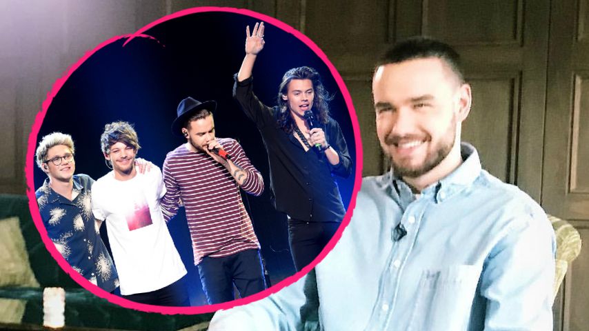 One Direction-Reunion? Liam Payne spricht endlich Klartext!