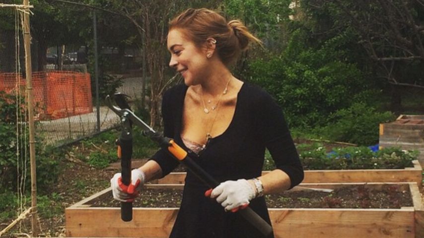 Lindsay Lohan