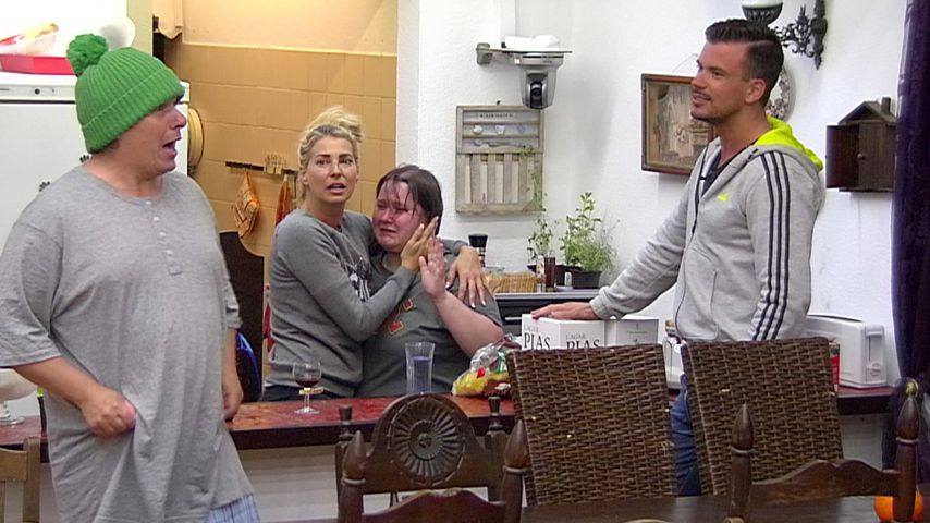 Manni Ludolf, Giulia Siegel, Jana Ludolf und Ludwig Heer in "Das Sommerhaus der Stars"