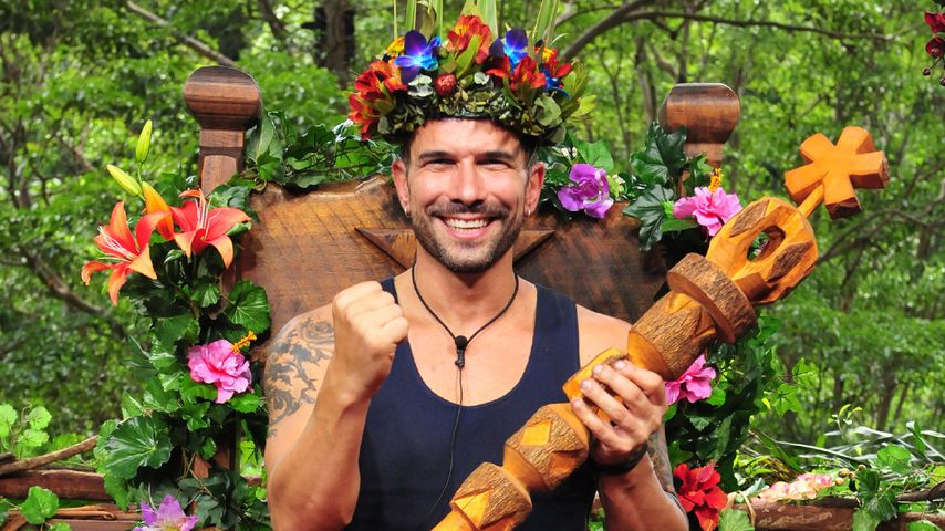 Marc Terenzi, Dschungelkönig