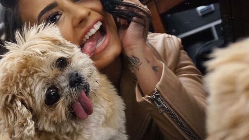Marnie The Dog mit Sängerin Demi Lovato
